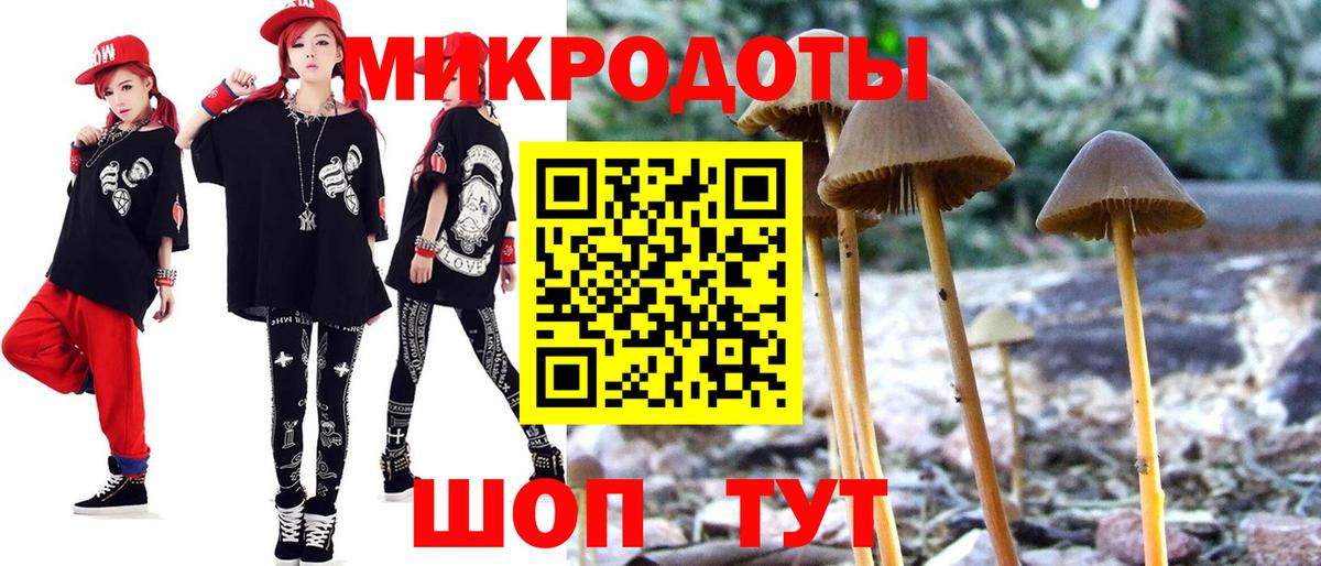 Псилоцибиновые грибы MAGIC MUSHROOMS Геленджик