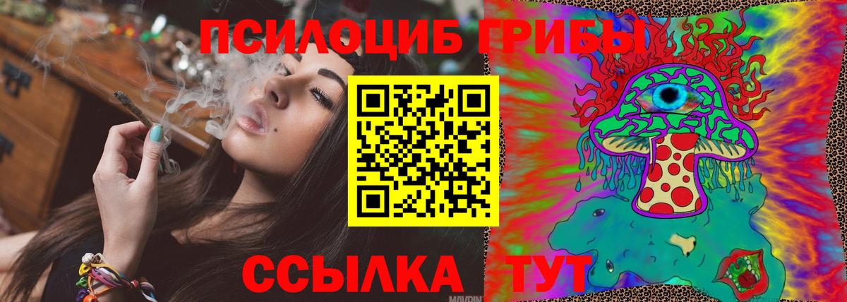 Геленджик  Галлюциногенные грибы Magic Shrooms  Псилоцибиновые грибы Cubensis  Вход с VPN 